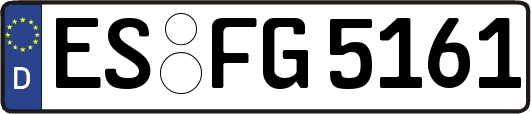 ES-FG5161