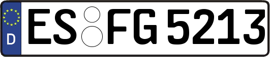 ES-FG5213
