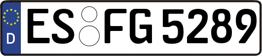 ES-FG5289