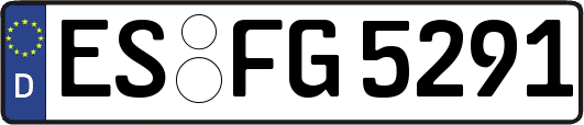 ES-FG5291