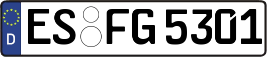 ES-FG5301