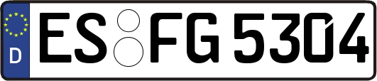 ES-FG5304
