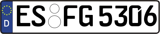 ES-FG5306