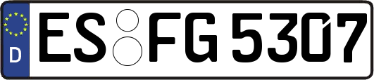 ES-FG5307