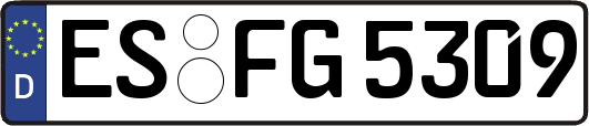 ES-FG5309