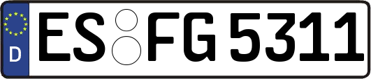 ES-FG5311