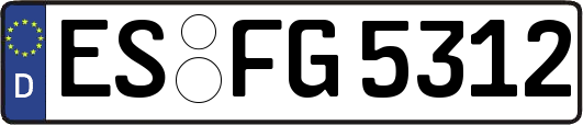 ES-FG5312