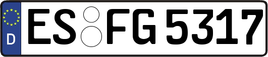 ES-FG5317