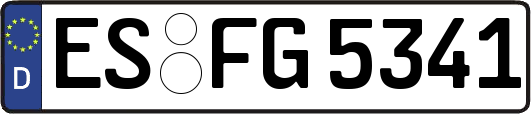 ES-FG5341