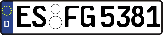 ES-FG5381