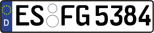 ES-FG5384