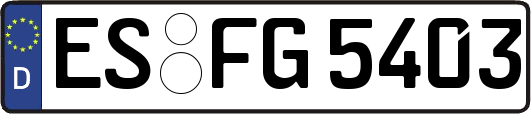 ES-FG5403