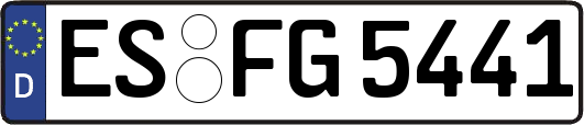 ES-FG5441