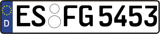 ES-FG5453