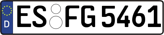 ES-FG5461