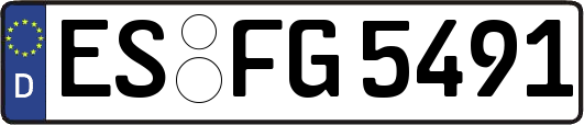 ES-FG5491