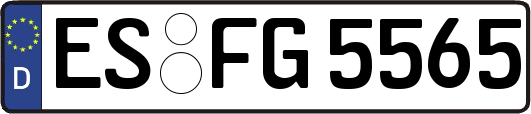 ES-FG5565