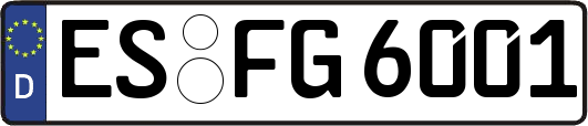 ES-FG6001