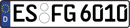 ES-FG6010