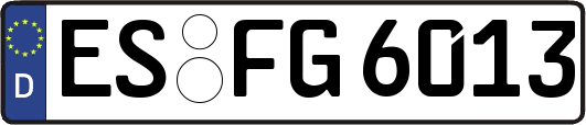 ES-FG6013