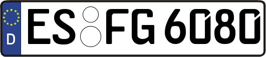 ES-FG6080