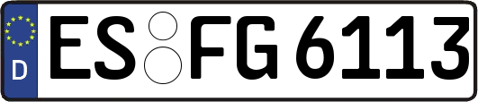 ES-FG6113