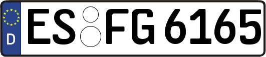 ES-FG6165