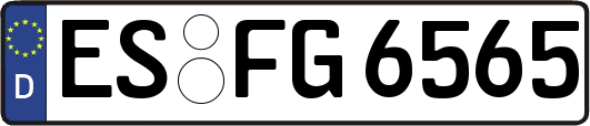ES-FG6565