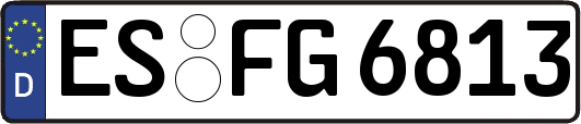 ES-FG6813