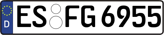 ES-FG6955