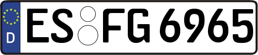 ES-FG6965