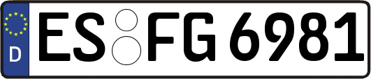 ES-FG6981