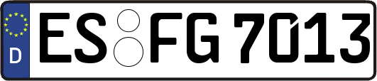 ES-FG7013