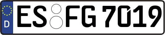 ES-FG7019