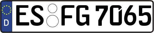 ES-FG7065