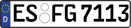 ES-FG7113