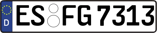 ES-FG7313