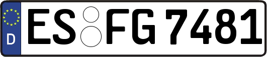 ES-FG7481