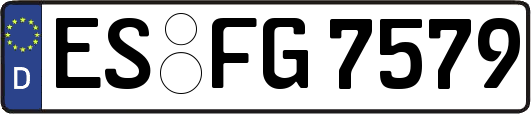 ES-FG7579