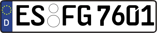 ES-FG7601