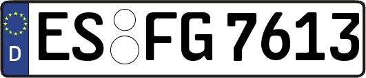 ES-FG7613