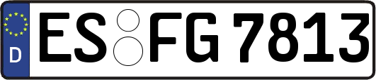 ES-FG7813