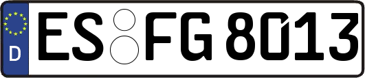ES-FG8013