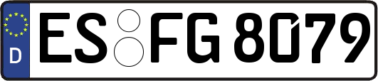 ES-FG8079