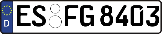 ES-FG8403