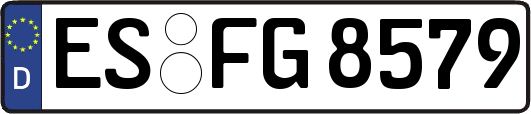 ES-FG8579