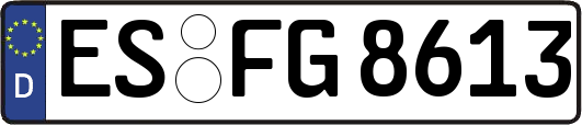 ES-FG8613