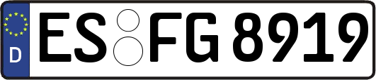ES-FG8919