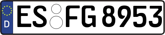 ES-FG8953