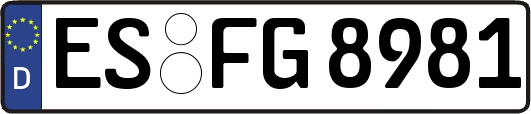 ES-FG8981